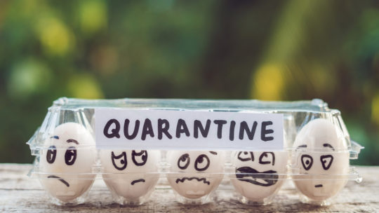 SQL Quarantine In Action On Your Laptop