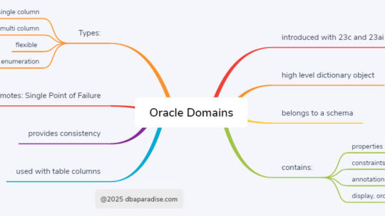 23ai New Database Object: Application Usage Domains